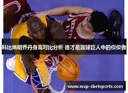 科比姚明乔丹身高对比分析 谁才是篮球巨人中的佼佼者