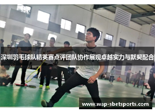 深圳羽毛球队精英赛点评团队协作展现卓越实力与默契配合