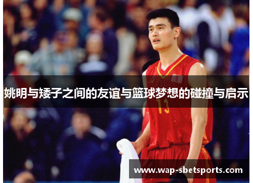 姚明与矮子之间的友谊与篮球梦想的碰撞与启示
